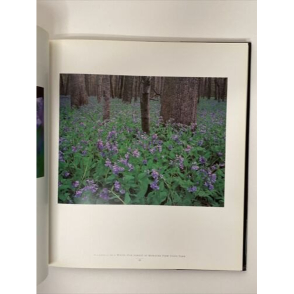 Illinois: Seasons of Light by Robert Shaw Coffee Table Book - Picture 6 of 10